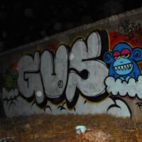 GVS