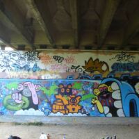 Blue Pig