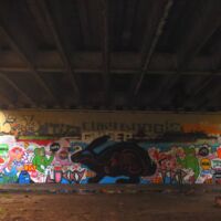 Friko Stroke 55
