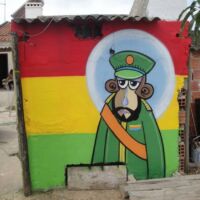Ras Mono