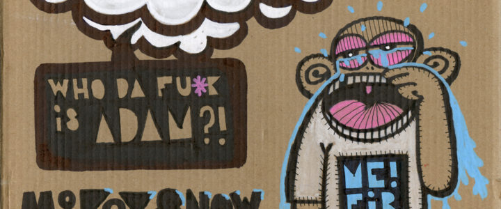 Monkey SNOW 2